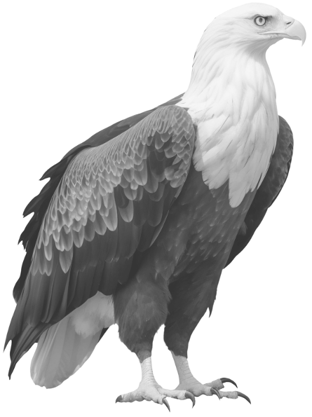 Amazon AWS Linux Website Hosting